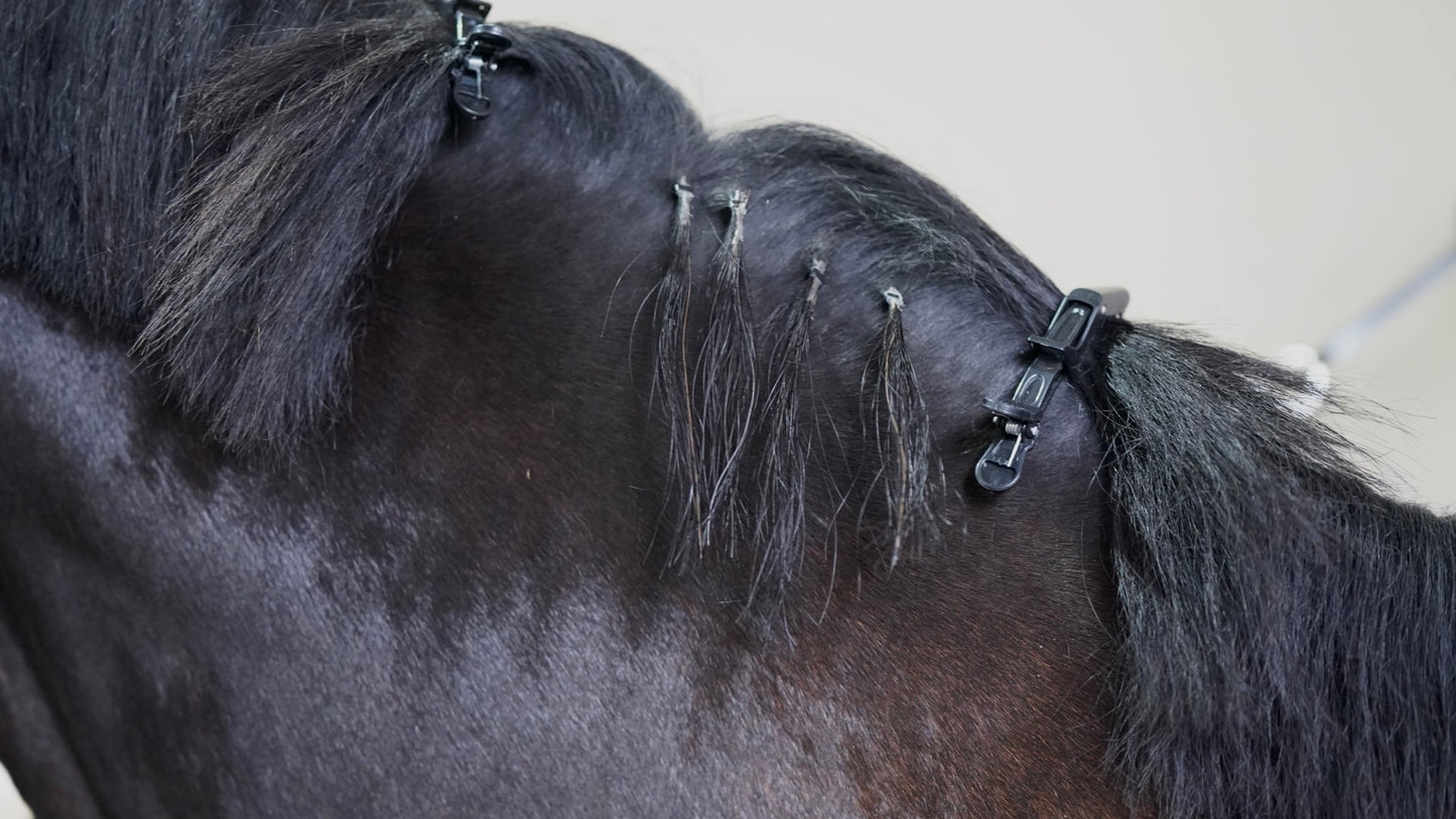 Mane Enhancement Bead Extensions