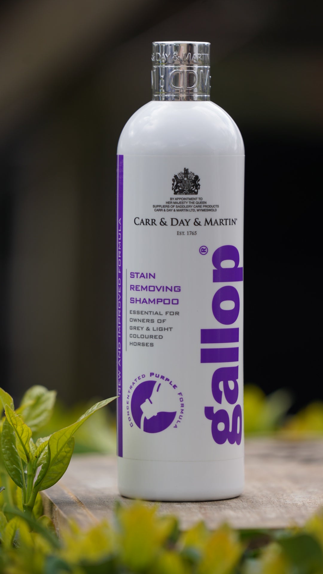 CDM Gallop Stain Removing Shampoo 500ml