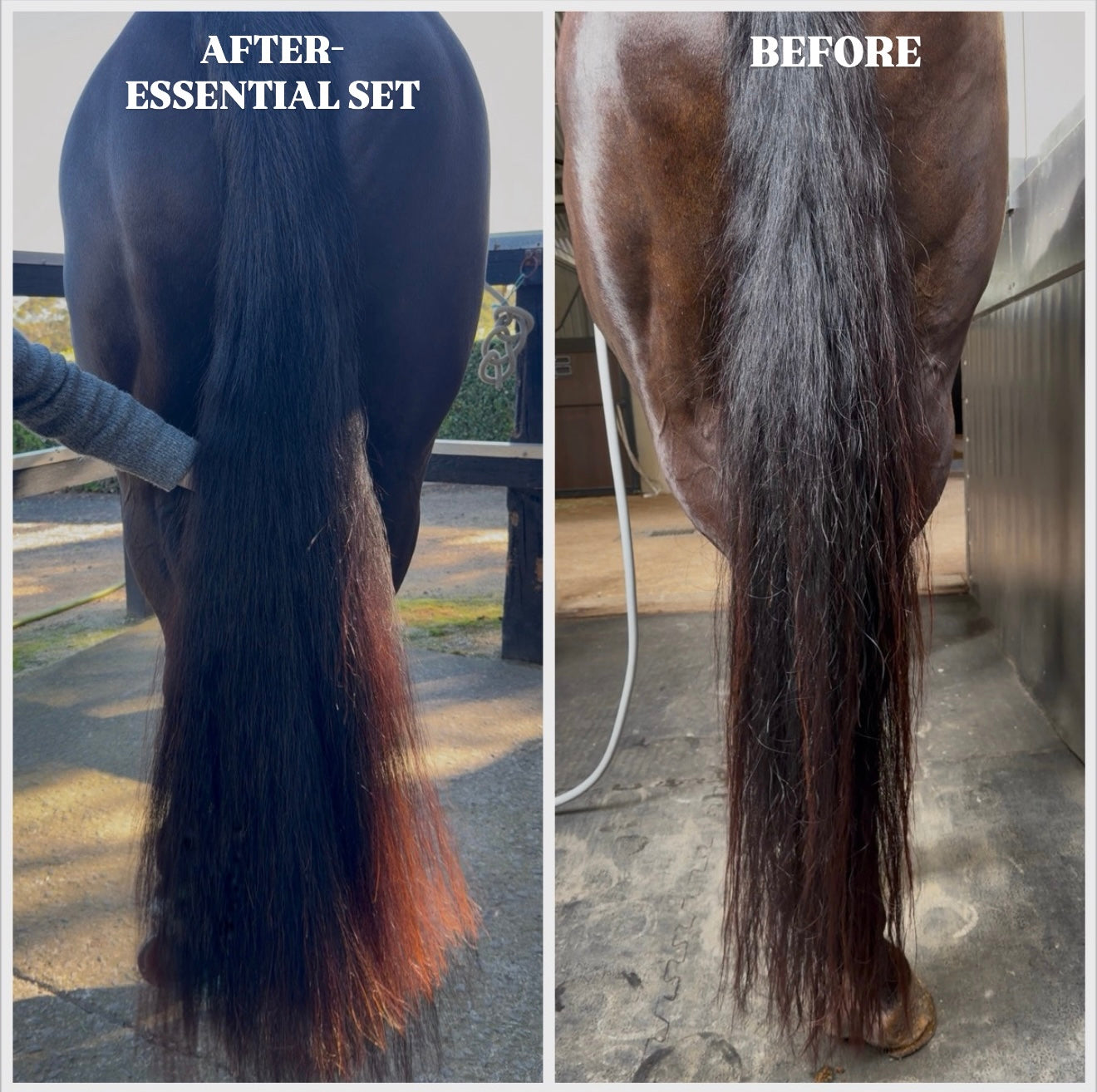 FlexLine Tail Extension Kit in Medium Chestnut
