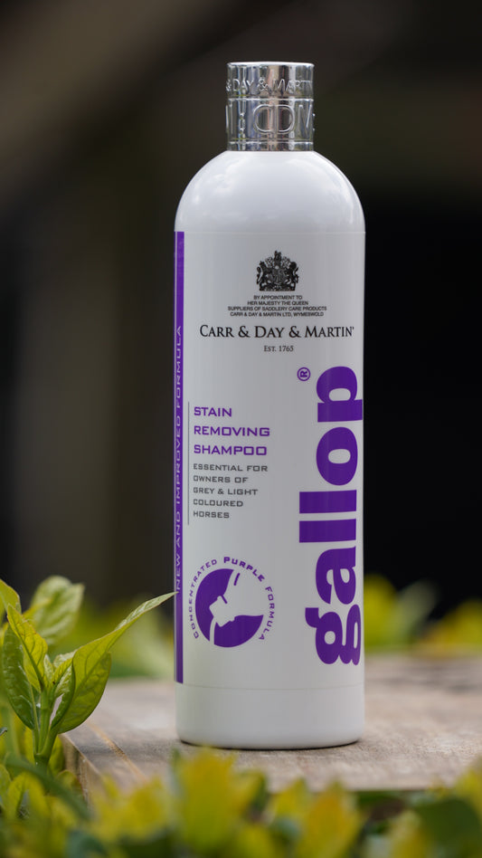 CDM Gallop Stain Removing Shampoo 500ml