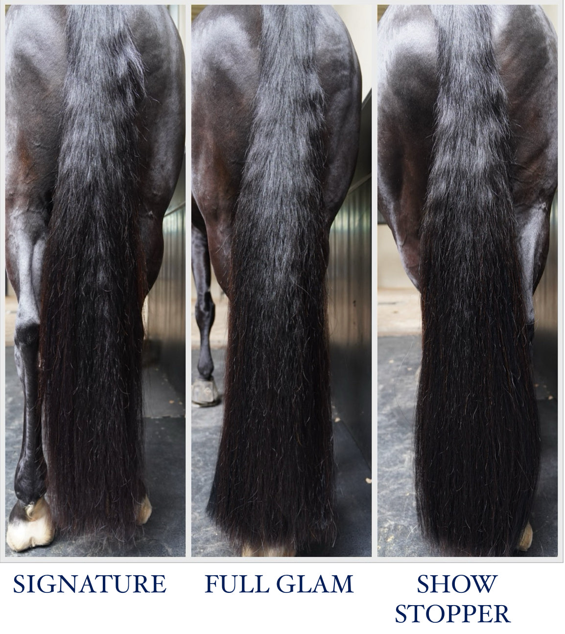 Luxe Lengths Tail Extension Kit in Liver Chestnut